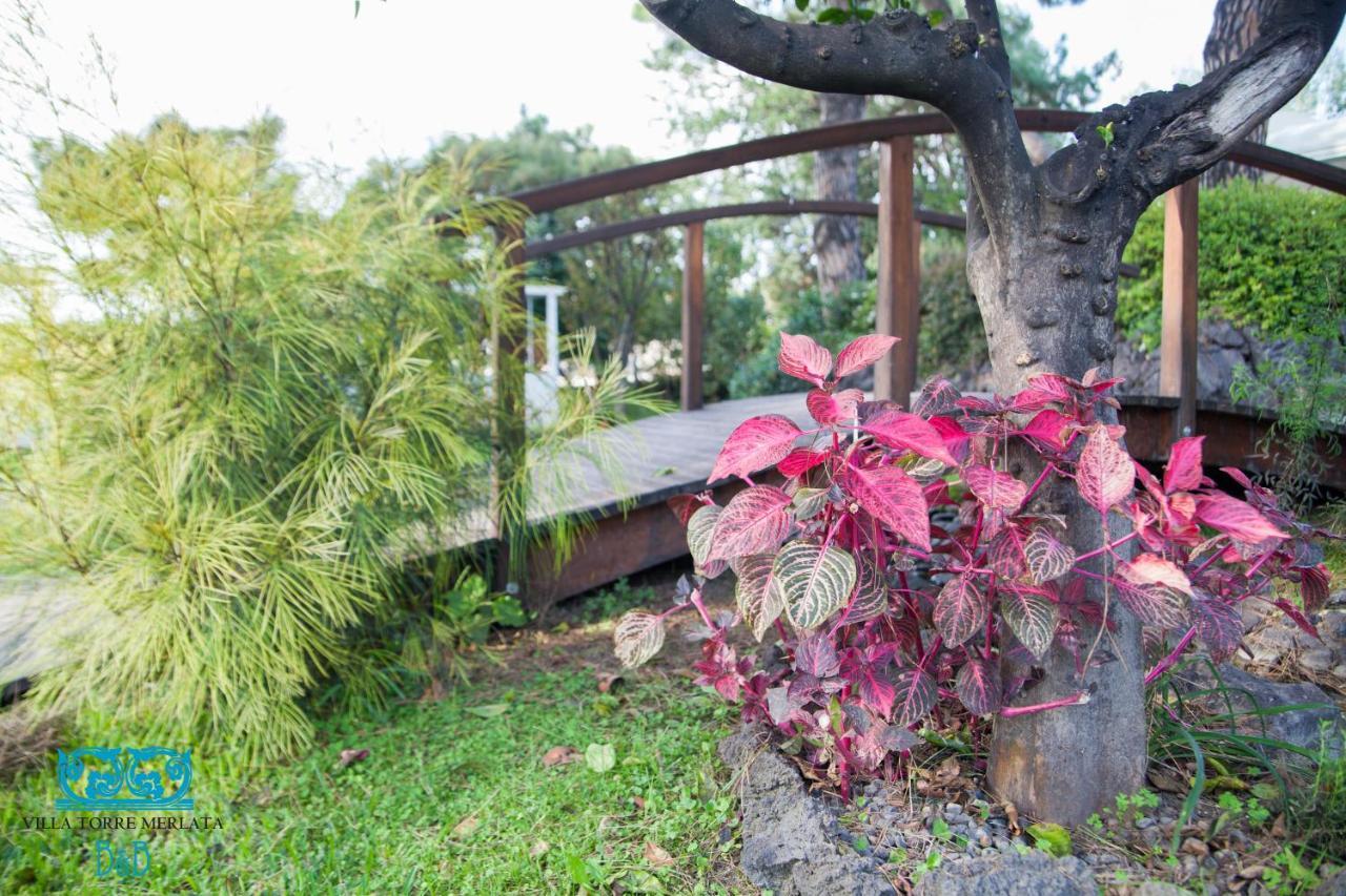 Torremerlata B&B Boscoreale Kültér fotó