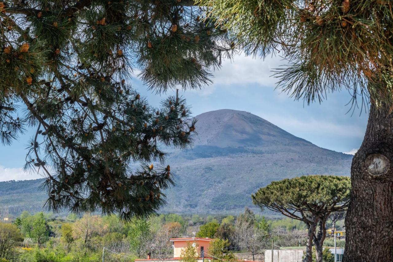 Torremerlata B&B Boscoreale Kültér fotó